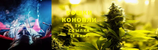 ГАЛЛЮЦИНОГЕННЫЕ ГРИБЫ Володарск