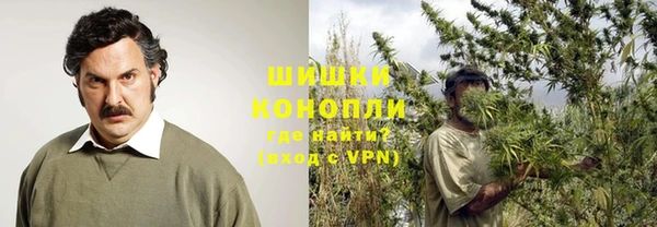 ГАЛЛЮЦИНОГЕННЫЕ ГРИБЫ Володарск