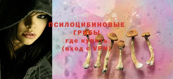 spice Верхний Тагил