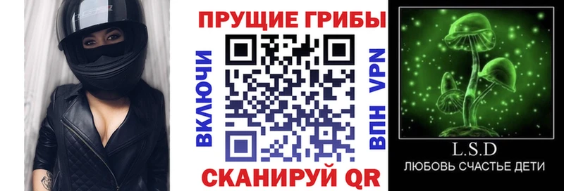 Галлюциногенные грибы Magic Shrooms  купить наркоту  Карасук 